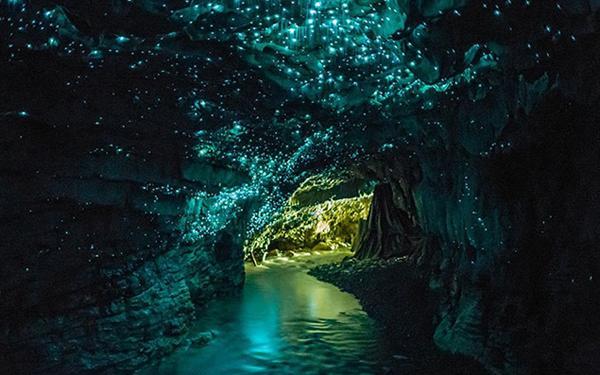 沪江开心词场