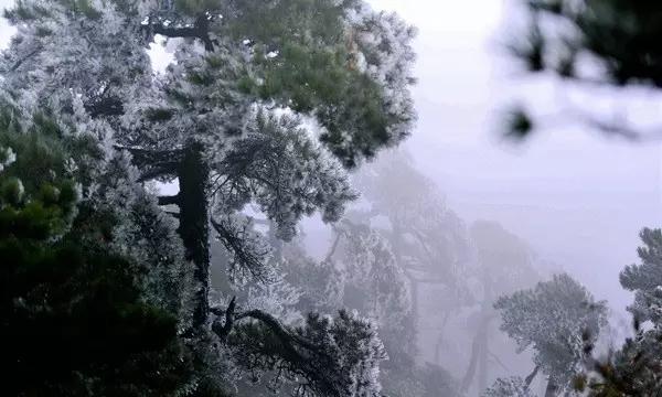 甜美奥莉暑假逛街