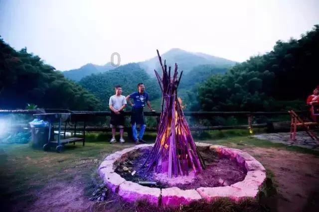 为什么马犬不合适家养游戏画面