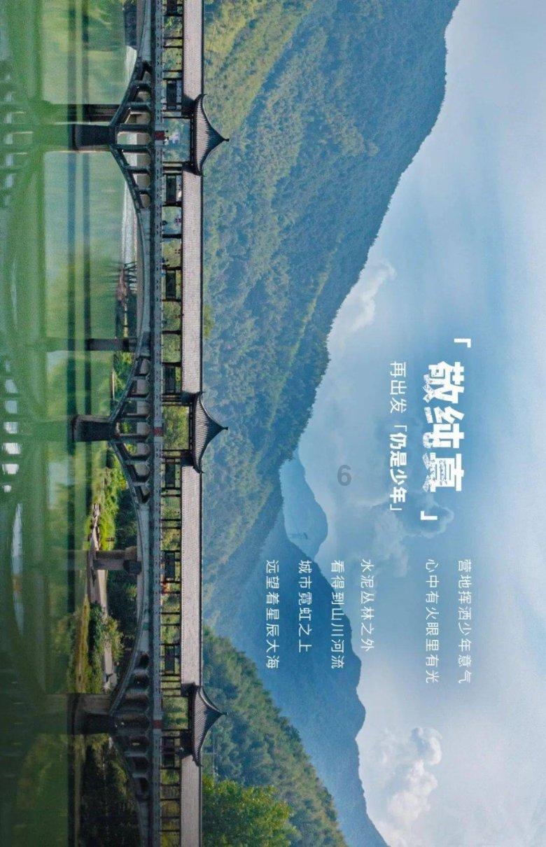 救援袋鼬