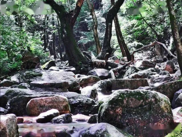 全民剧本大师内置菜单