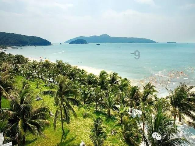 深海鱼救援